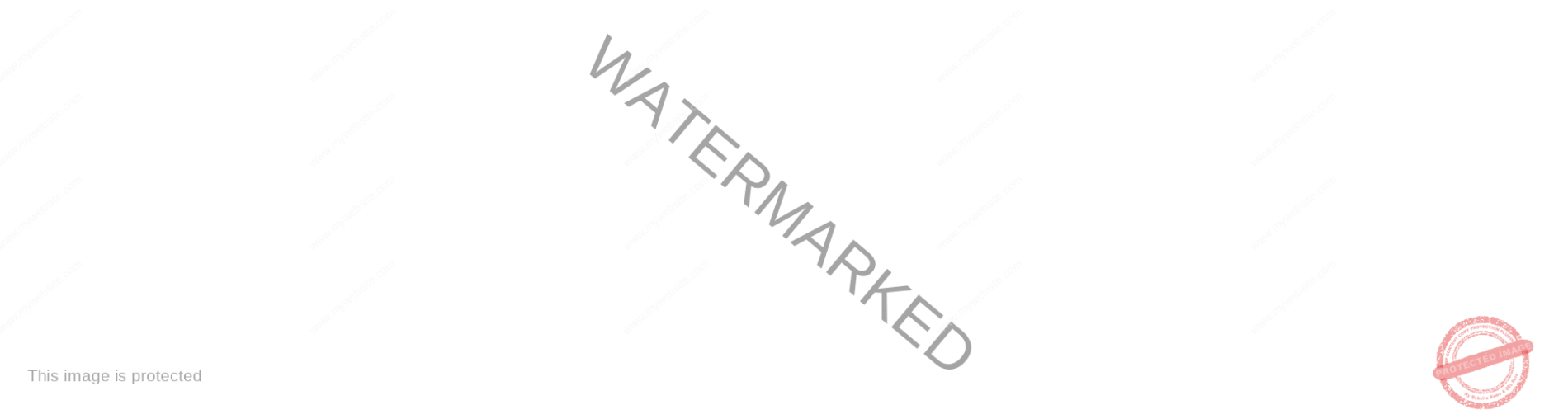 Desarrollo web